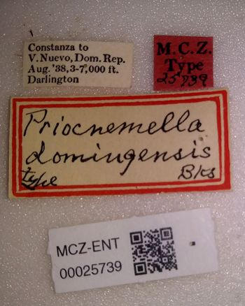 Media type: image;   Entomology 25739 Aspect: labels